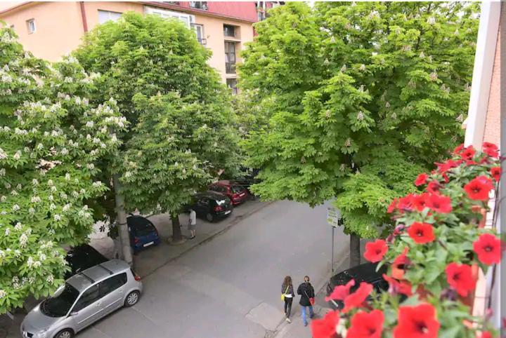 Milica Apartments Skopje Exterior foto